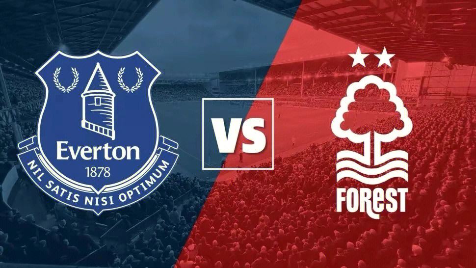 关于纽伦堡遭遇两连败，保级形势严峻，战绩斐然的信息