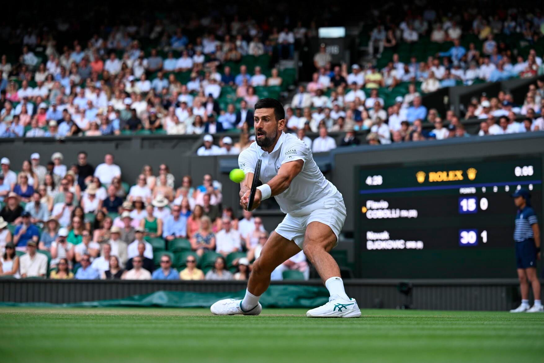 包含拉沃尔杯横扫温网，德约科维奇统治全场的词条