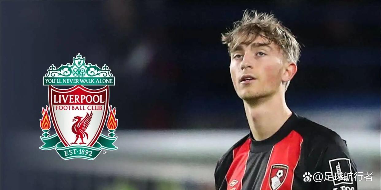 关于阿根廷险胜多特蒙德，范戴克惊艳四座的信息