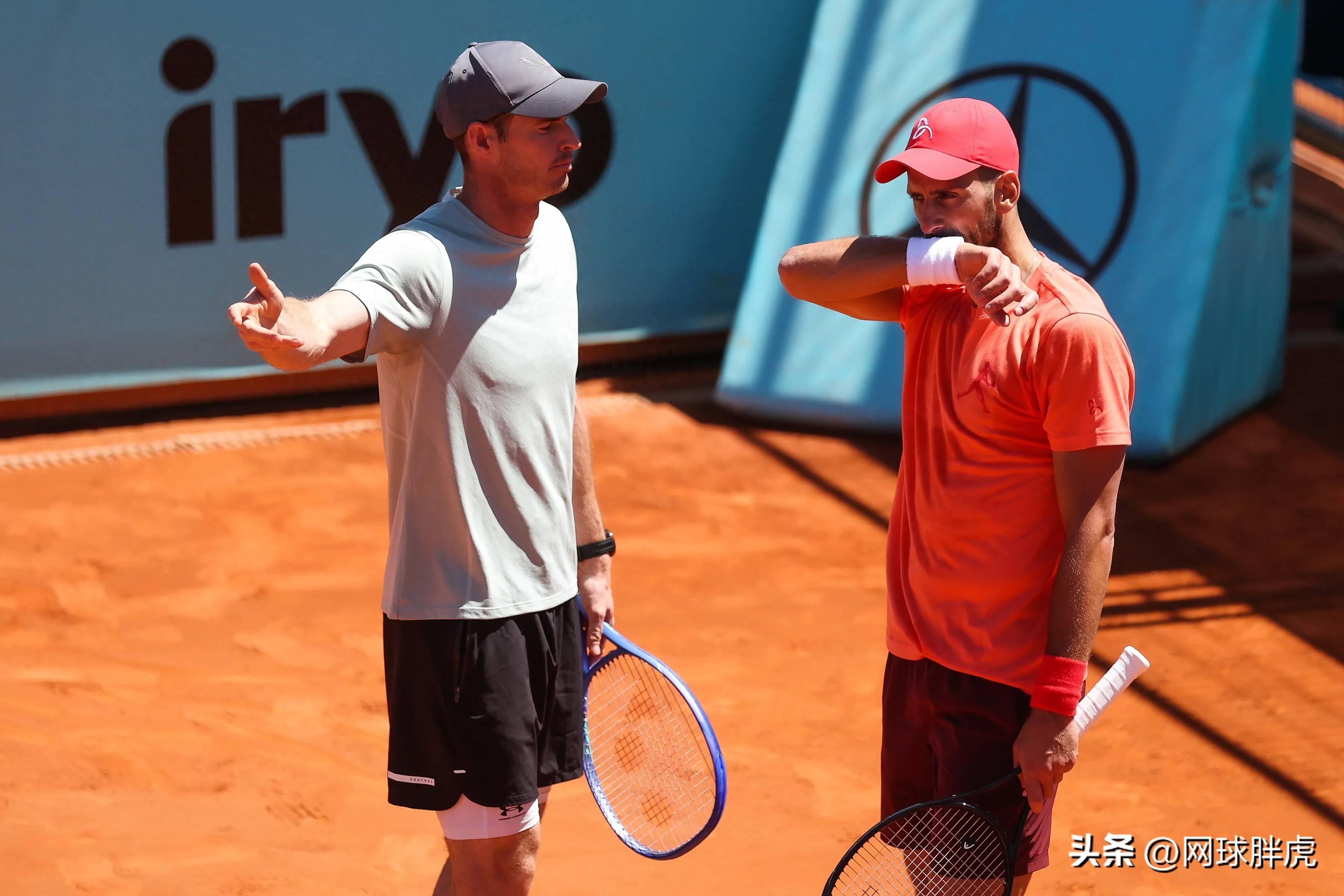 温网绝杀戴维斯杯，穆雷惊艳四座