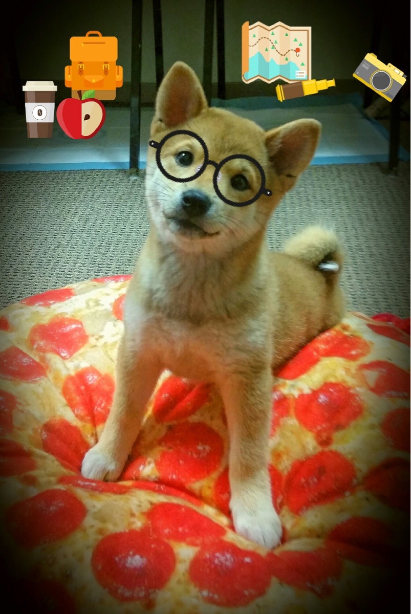 伦纳德核爆式狂砍41分!吉林队提前三节终结悬念,掘金主场沦陷深度解析